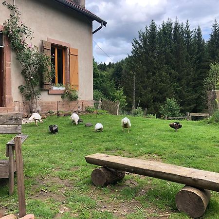 A L'Oree De Soi - Maison Forestiere De La Soie - Eco Gite, Chambres D'Hotes, Camping Au Pied Des Vosges Saint-Sauveur  Eksteriør bilde