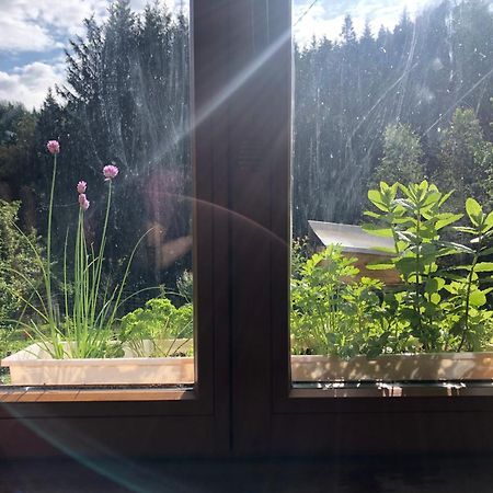 A L'Oree De Soi - Maison Forestiere De La Soie - Eco Gite, Chambres D'Hotes, Camping Au Pied Des Vosges Saint-Sauveur  Eksteriør bilde