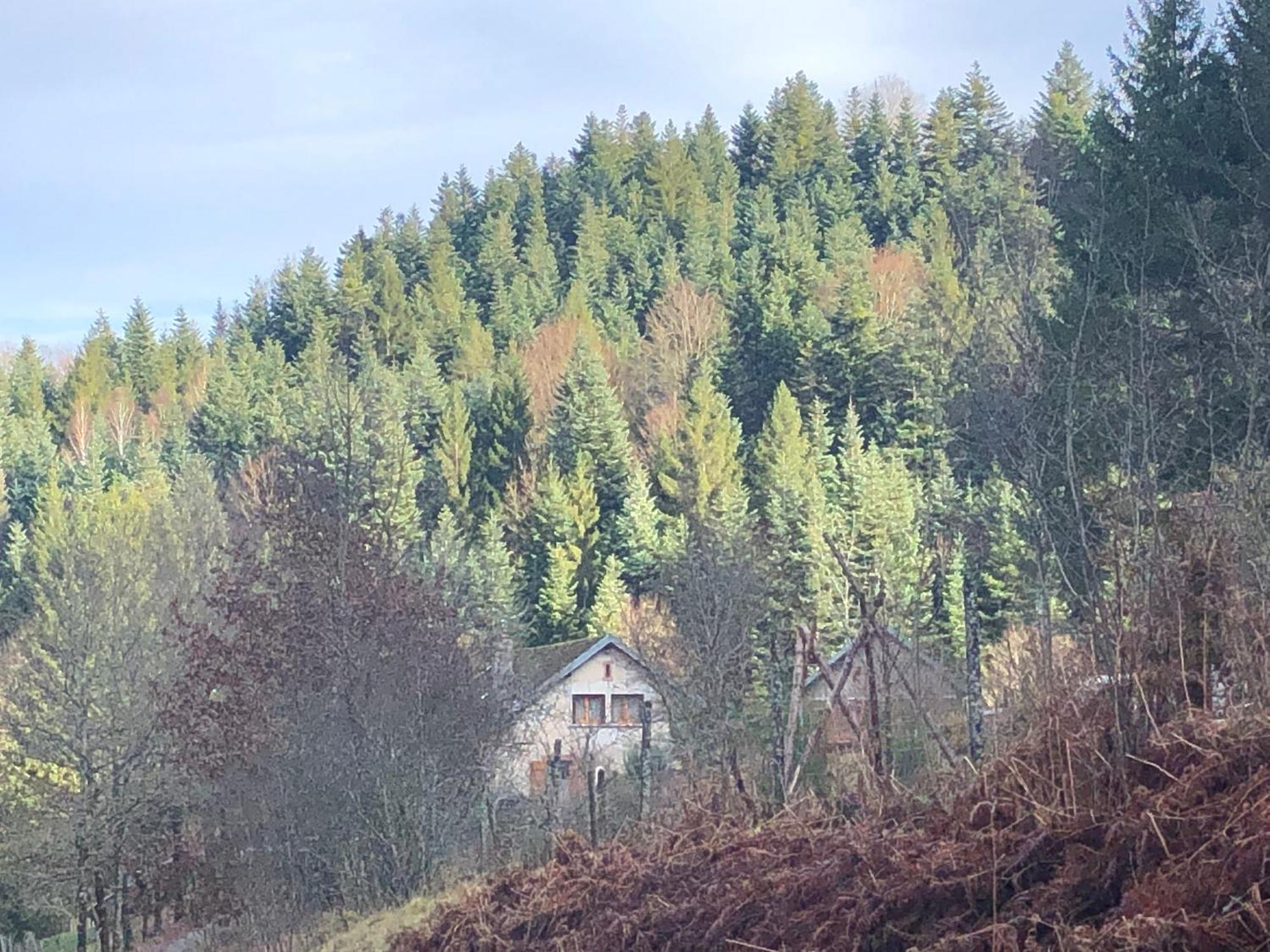 A L'Oree De Soi - Maison Forestiere De La Soie - Eco Gite, Chambres D'Hotes, Camping Au Pied Des Vosges Saint-Sauveur  Eksteriør bilde