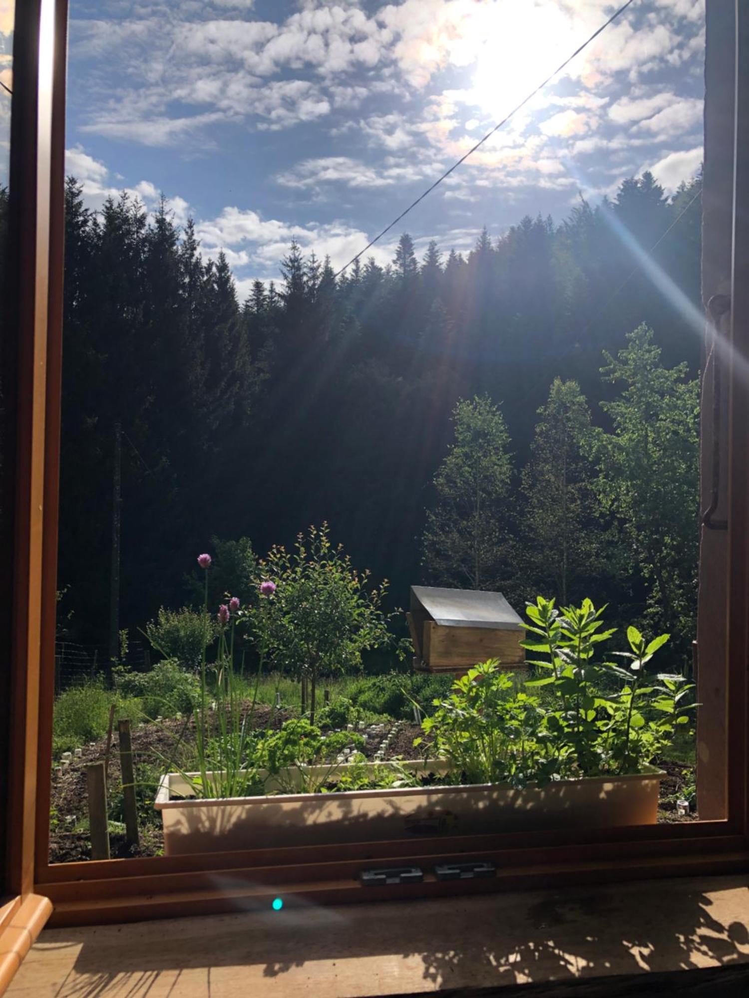 A L'Oree De Soi - Maison Forestiere De La Soie - Eco Gite, Chambres D'Hotes, Camping Au Pied Des Vosges Saint-Sauveur  Eksteriør bilde