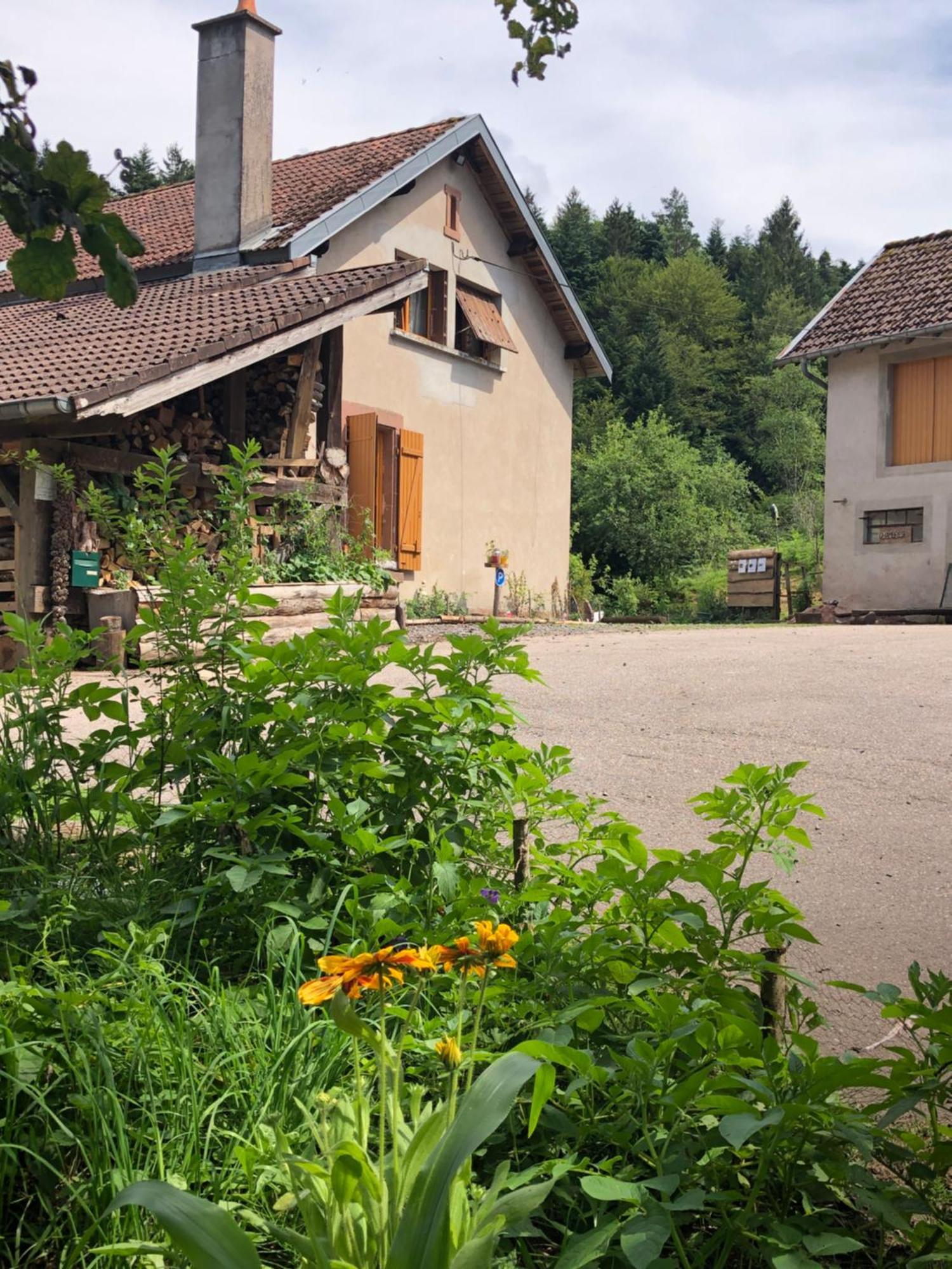A L'Oree De Soi - Maison Forestiere De La Soie - Eco Gite, Chambres D'Hotes, Camping Au Pied Des Vosges Saint-Sauveur  Eksteriør bilde