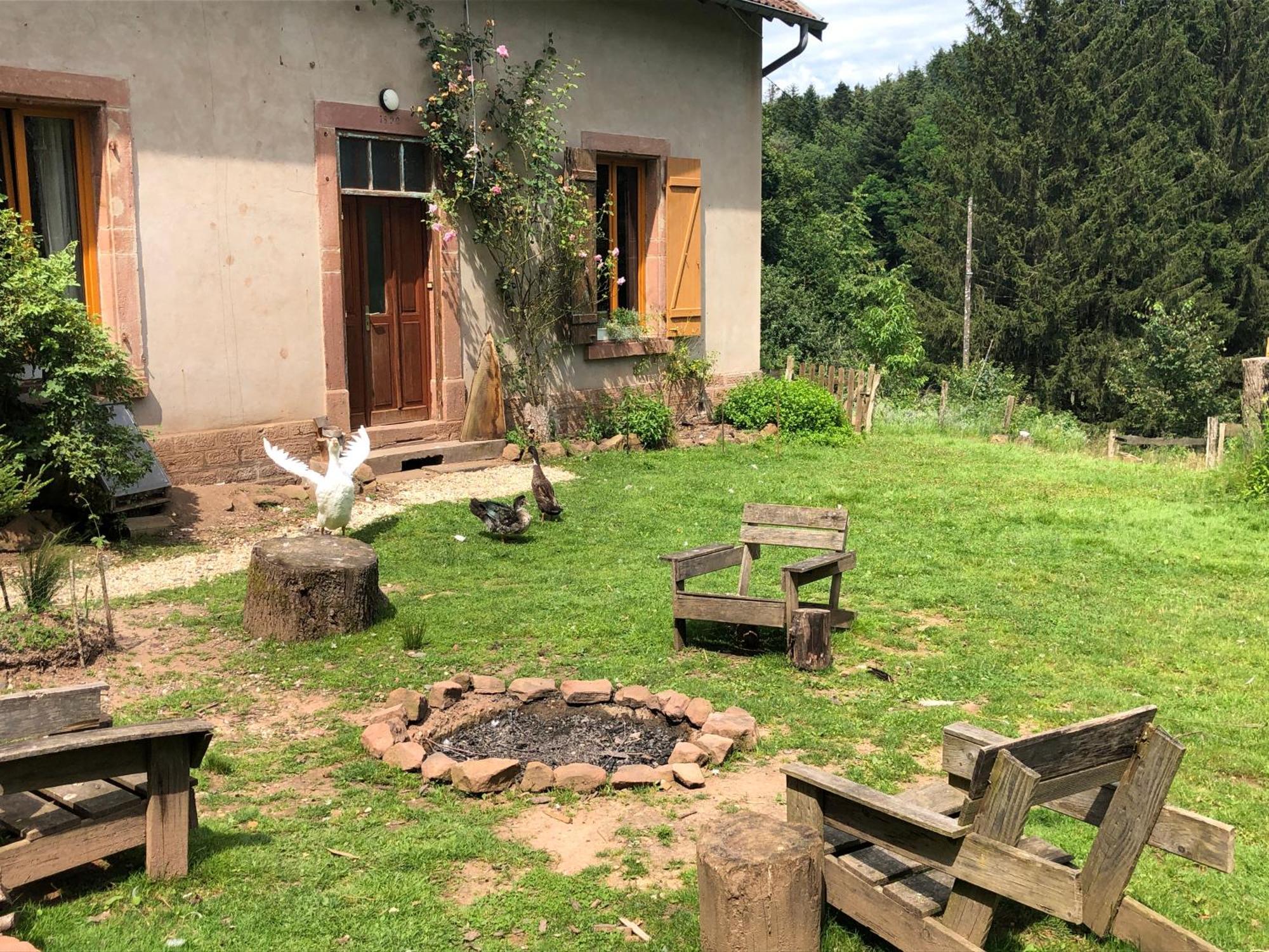 A L'Oree De Soi - Maison Forestiere De La Soie - Eco Gite, Chambres D'Hotes, Camping Au Pied Des Vosges Saint-Sauveur  Eksteriør bilde