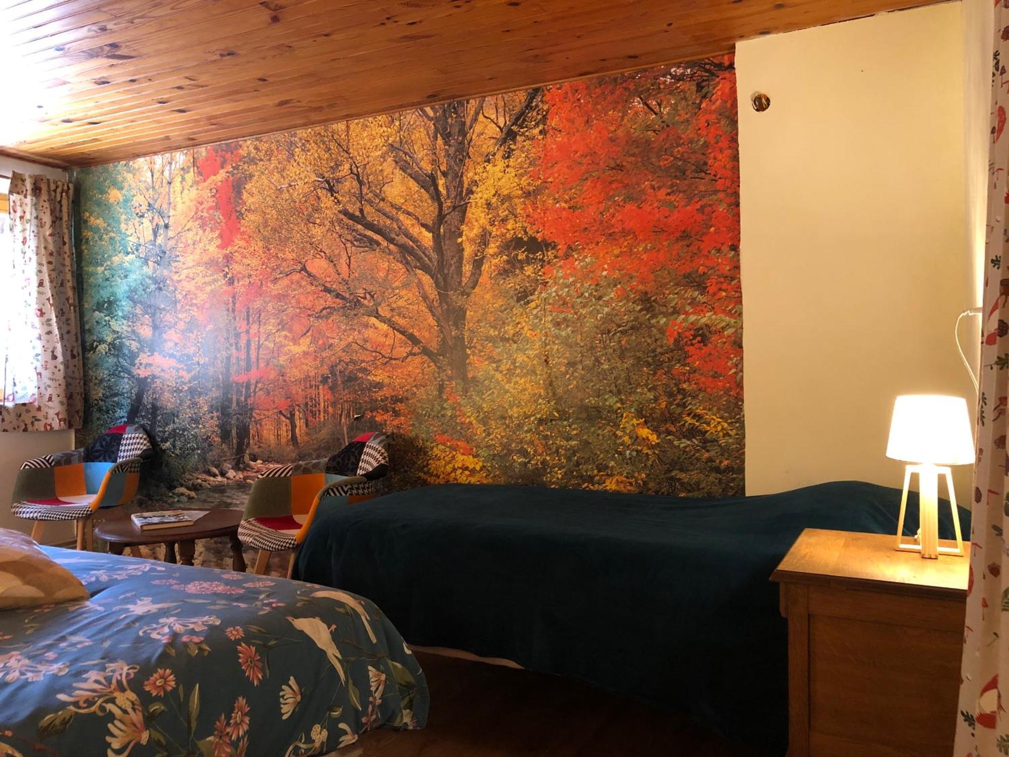 A L'Oree De Soi - Maison Forestiere De La Soie - Eco Gite, Chambres D'Hotes, Camping Au Pied Des Vosges Saint-Sauveur  Eksteriør bilde