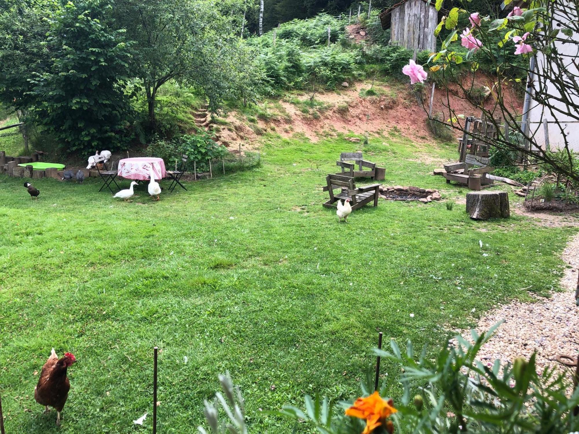 A L'Oree De Soi - Maison Forestiere De La Soie - Eco Gite, Chambres D'Hotes, Camping Au Pied Des Vosges Saint-Sauveur  Eksteriør bilde
